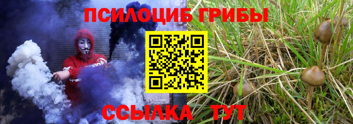 Псилоцибиновые грибы ЛСД Мирный