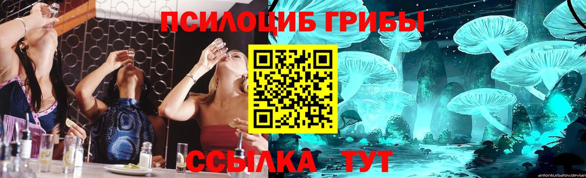 Мирный  Галлюциногенные грибы прущие грибы  Вход с VPN 